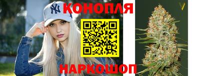 индика Кунгур