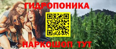 индика Кунгур
