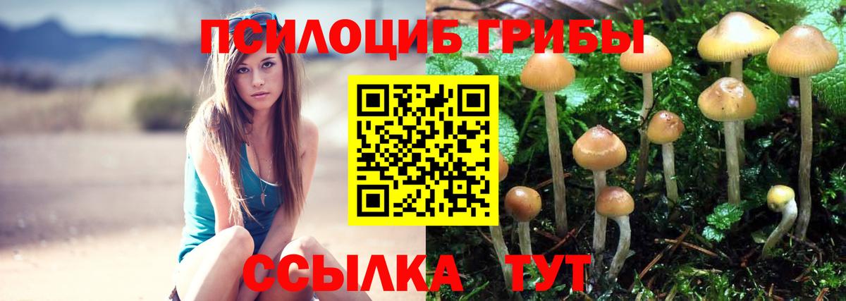 Галлюциногенные грибы GOLDEN TEACHER Коряжма