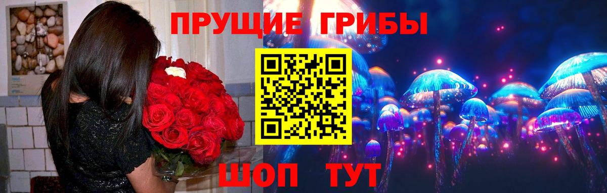 магазин  наркотиков  Галлюциногенные грибы GOLDEN TEACHER  Вход с VPN  Коряжма  Галлюциногенные грибы прущие грибы 
